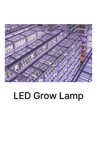 LED Machines